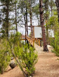 WhatsApp Image 2023-08-02 at 00.11.58 (1)