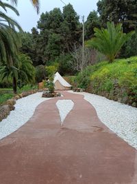 PHOTO-2025-03-22-14-42-35 (1)